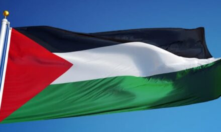 Roma, 50mila in corteo per Gaza. Tensioni e polemiche sul corteo promosso dalla sinistra