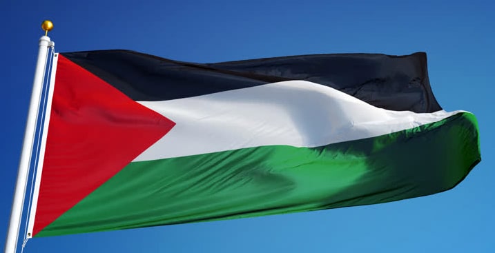 Roma, 50mila in corteo per Gaza. Tensioni e polemiche sul corteo promosso dalla sinistra