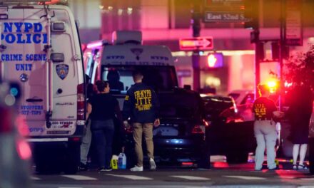 New York, sparatoria in un grattacielo: 5 morti