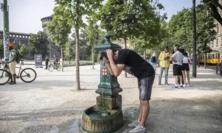 Ondata di caldo estremo in arrivo: in Sicilia si sfiorano i 50°C, possibile record storico