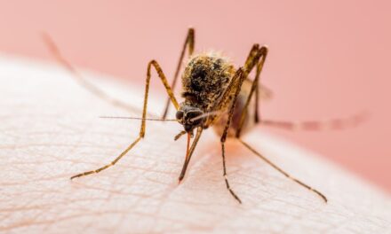 West Nile in Campania: nove casi confermati e misure straordinarie negli ospedali