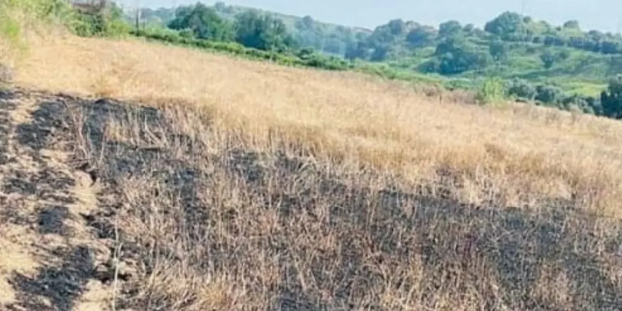 Attentato mafioso contro Valle del Marro: solidarietà da Elly Schlein