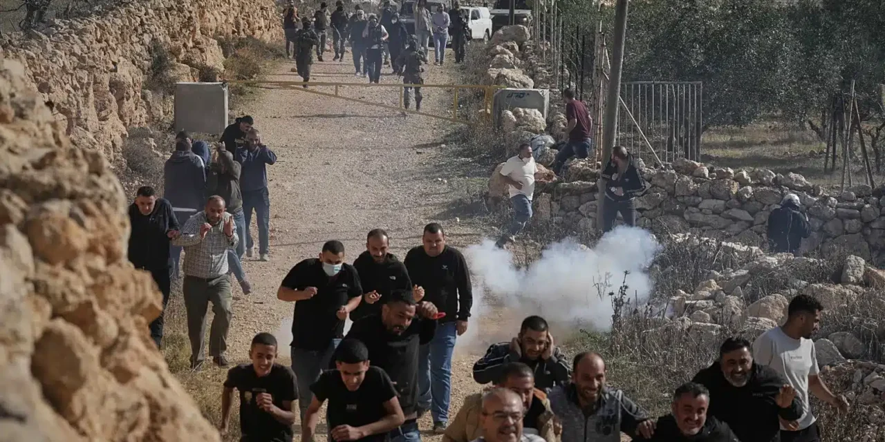 Cisgiordania, volontari italiani aggrediti dai coloni: escalation di violenze e territori sempre più a rischio