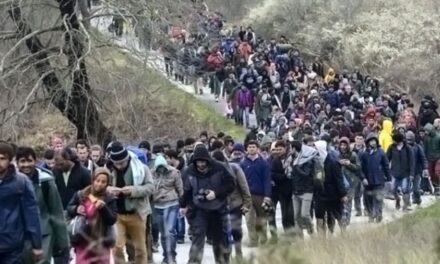 Rapporto Irc. Rotta Balcanica, Trieste resta l’approdo più sicuro per chi è in fuga da guerre, persecuzioni e povertà