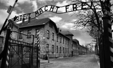 Giornata della Memoria 2026: eventi e cerimonie istituzionali per ricordare la Shoah