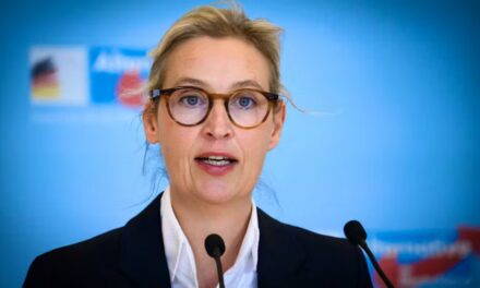 Germania, tribunale di Colonia sospende la definizione di AfD come partito estremista