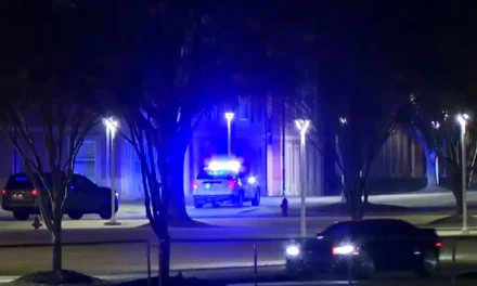 Usa, sparatoria nel campus della South Carolina State University