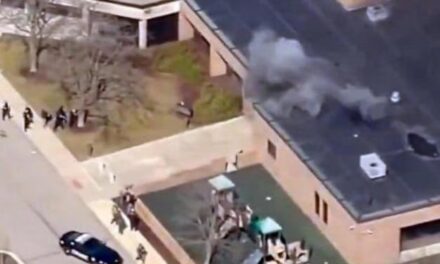 Usa. Auto contro sinagoga in Michigan, ucciso l’assalitore