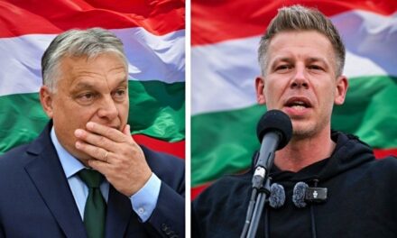 Ungheria. Fine dell’era Orban, Magyar stravince