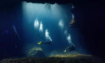 Maldive, individuati i corpi dei quattro sub italiani dispersi nella grotta di Alimathà
