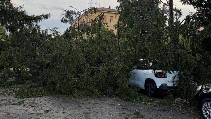 Maltempo sull’Italia, allerta in 14 regioni: Liguria osservata speciale
